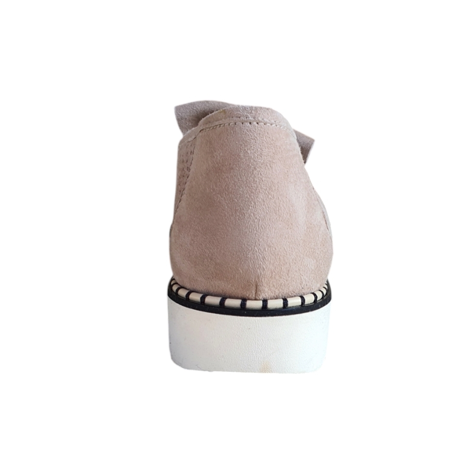 1467 Cam. rex koncglia